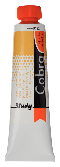 png_1500x1500_60703129