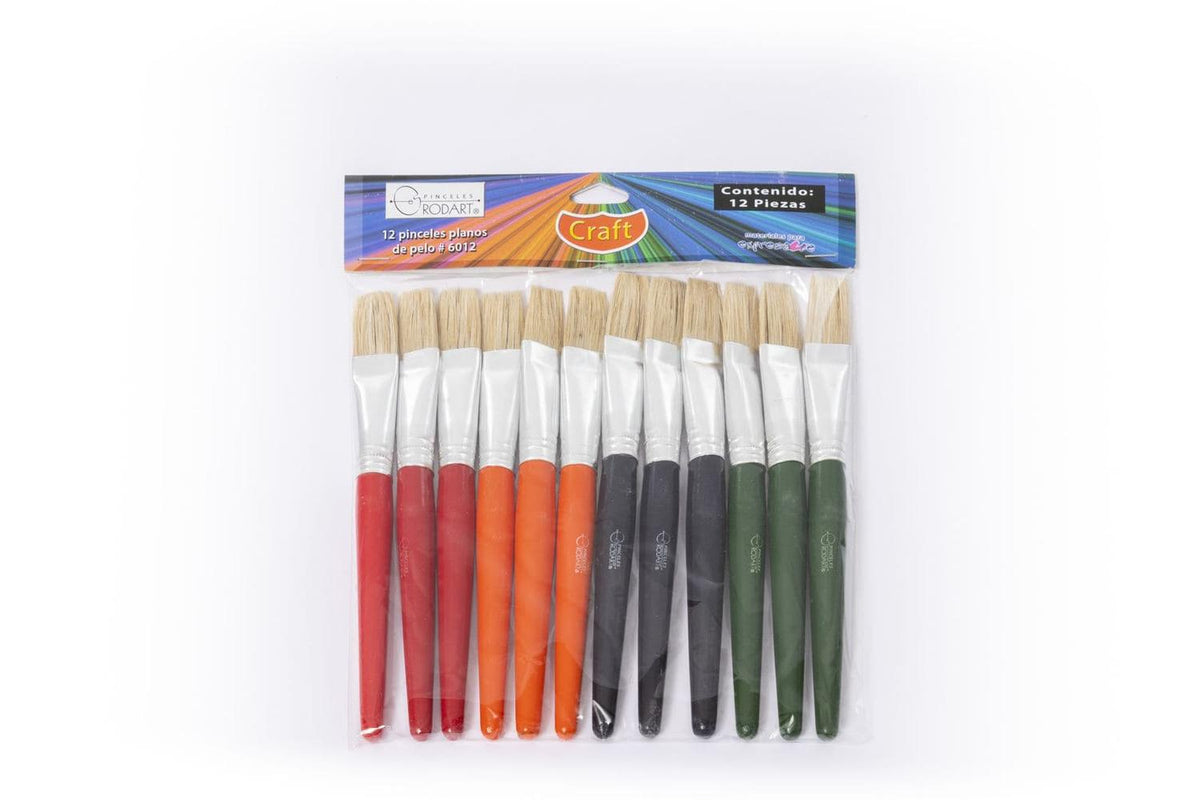 Bolsa Con 12 Pinceles Serie Craft Forma Plano Rodart