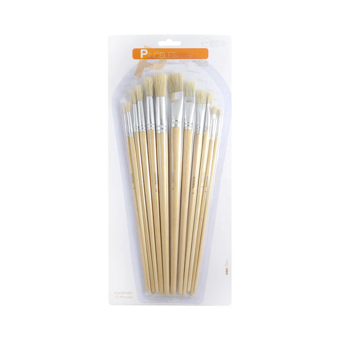 Juego Con 12 Pinceles Mixtos Pelo De Cerda Rodart